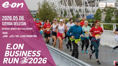 2. E.On Business Run